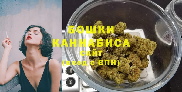 молекула духа Аркадак