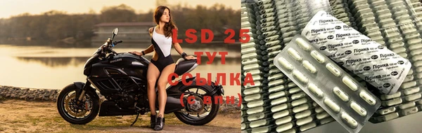 mdpv Алзамай
