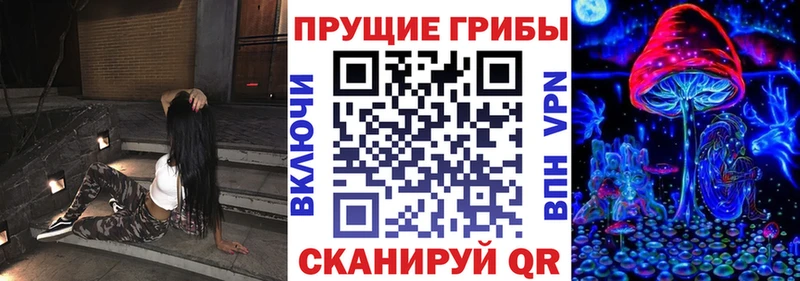 сколько стоит  даркнет официальный сайт  Галлюциногенные грибы GOLDEN TEACHER  Можга 